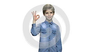 Handsome caucasian boy showing Ok sign.