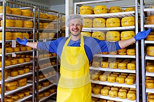 Handsome cheesemaker is checking cheeses in his workshop storage.