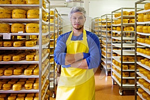 Handsome cheesemaker is checking cheeses in his workshop storage.