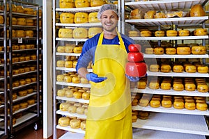 Handsome cheesemaker is checking cheeses in his workshop storage.