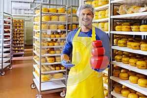Handsome cheesemaker is checking cheeses in his workshop storage.