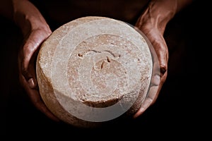 Handsome cheesemaker is checking cheeses in his workshop storage.
