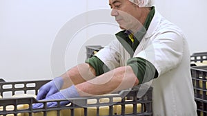 Handsome cheesemaker is checking cheeses seasoning at dairy factory in 4k UHD video.