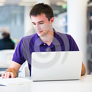 Handsome college student using his laptop