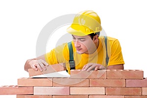 The handsome construction worker building brick wall