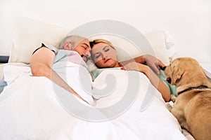 Handsome couple in bed sleeps together in association with dog.