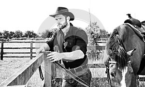 Handsome cowboy, horse rider on saddle, horseback adn boots