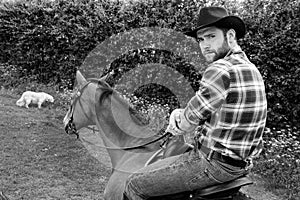 Handsome cowboy, horse rider on saddle, horseback adn boots