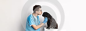 Handsome doctor veterinarian examining black pug, vet kissing and petting cute dog, white background