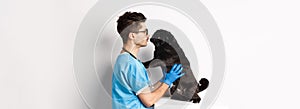 Handsome doctor veterinarian examining cute black pug dog at vet clinic, standing over white background