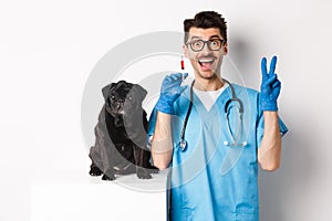 Handsome doctor veterinarian holding syringe and standing near cute black pug, vaccinating dog, white background