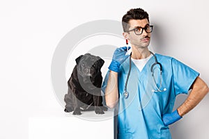 Handsome doctor veterinarian holding syringe and standing near cute black pug, vaccinating dog, white background