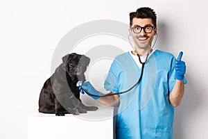 Handsome doctor veterinarian smiling, examining pet in vet clinic, checking pug dog with stethoscope, showing thumbs-up