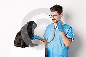 Handsome doctor veterinarian smiling, examining pet in vet clinic, checking pug dog with stethoscope, standing over