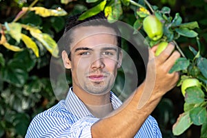 Handsome farmer picking green apples from tree and smiling at camera