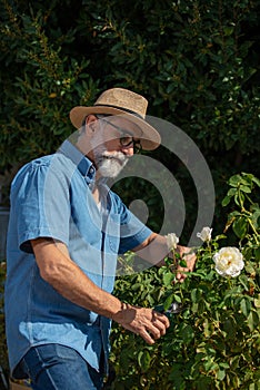 Handsome gardener in a greenhouse.