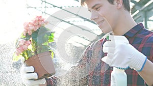 Handsome gardener spraying flowerpot in gardenhouse. Slowly