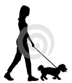 Handsome girl walking with dog silhouette.