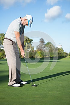 Handsome golfer putting ball on the green