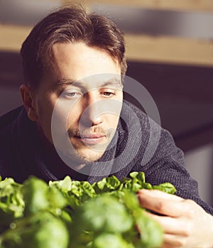 Handsome grower carefully growing and checking plants indoor.