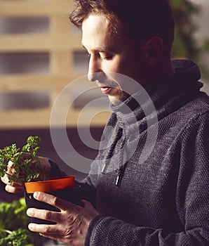 Handsome grower carefully growing and checking plants indoor.