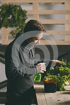 Handsome grower carefully irrigating plants indoor