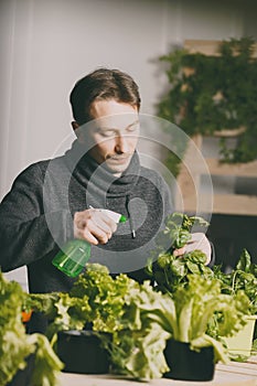 Handsome grower carefully irrigating plants indoor