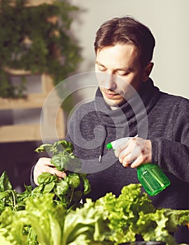 Handsome grower is carefully irrigating plants indoor.