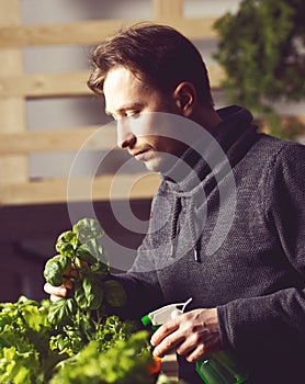 Handsome grower is carefully irrigating plants indoor.