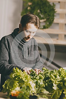 Handsome grower checking and taking care of plants