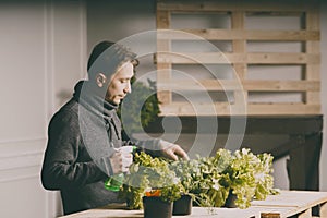 Handsome grower checking and taking care of plants