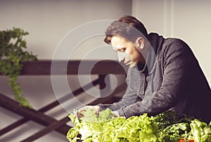 Handsome grower is checking and taking care of plants indoor.