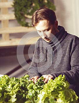 Handsome grower is checking and taking care of plants indoor.