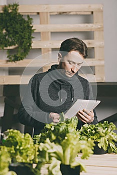 Handsome grower using his tablet while growing plants