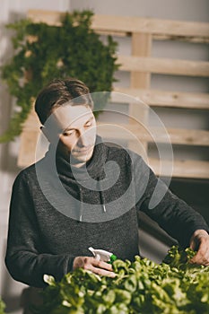 Handsome grower watering potted plants indoor