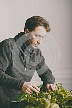 Handsome grower watering potted plants indoor