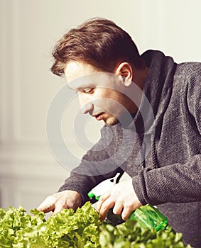 Handsome grower is watering potted plants indoor.