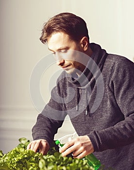 Handsome grower is watering potted plants indoor.