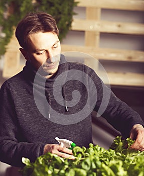 Handsome grower is watering potted plants indoor.