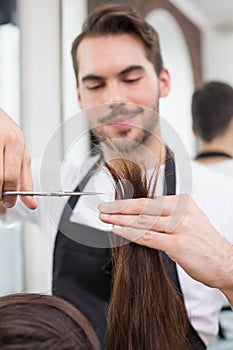 Handsome hair stylist cutting hair