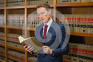 Handsome lawyer in the law library