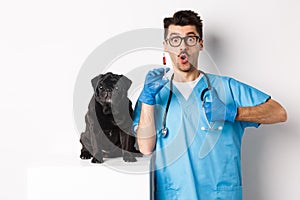 Handsome male doctor veterinarian holding syringe and standing near cute black pug, vaccinating dog, white background