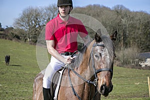 Handsome Male Horse Rider on horseback with white breeches, black boots and red polo shirt in green field with horses in distance