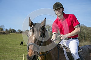 Handsome Male Horse Rider on horseback with white breeches, black boots and red polo shirt in green field with horses in distance