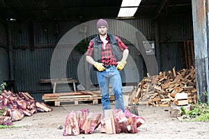 Handsome male lumberjack chops firewood in yard