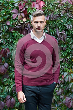 Handsome male wear sweater outdoor, fashion