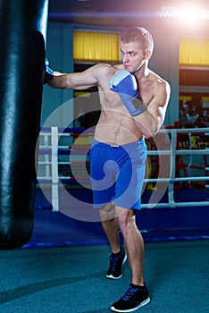 Handsome man in blue boxing gloves training on a punching bag in the gym. Male boxer doing workout.