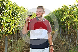 Handsome man enjoying wine at vineyard