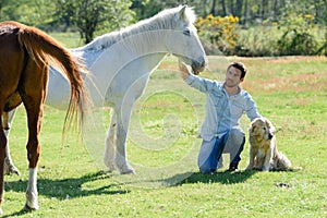 handsome man with horse in natural bright sunlight photo