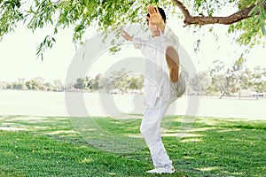 Handsome man practicing thai chi